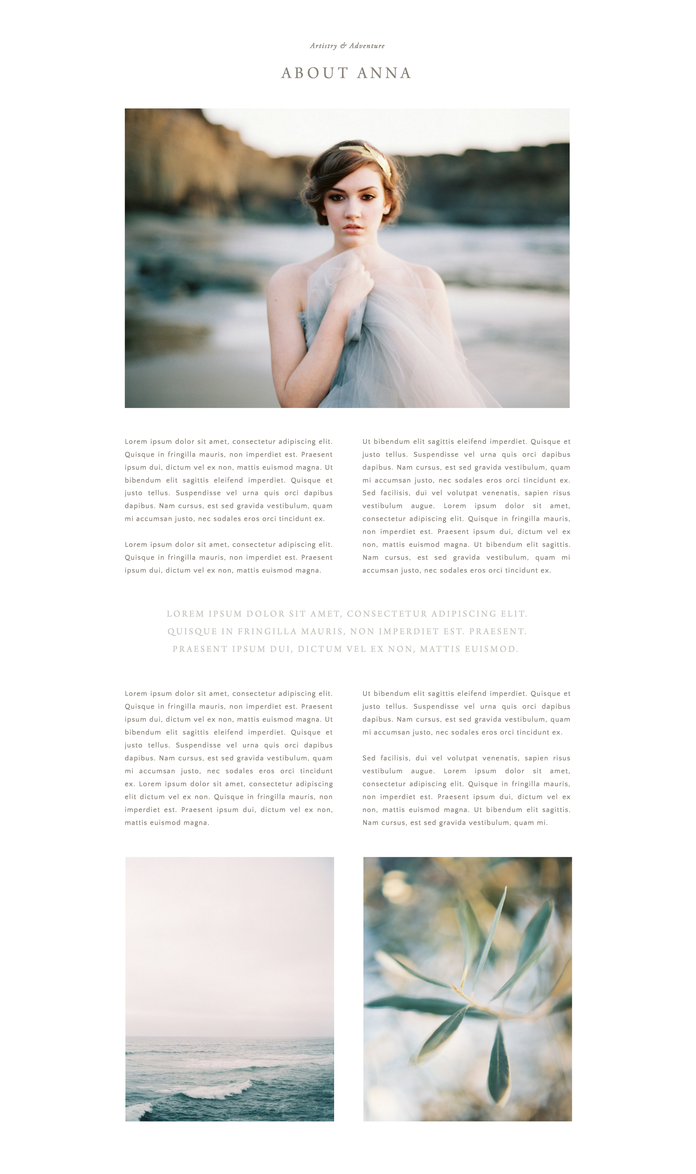 Tonic Site Shop - Negroni About Section