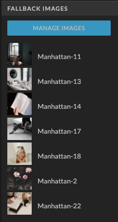Fallback Images in Showit Instagram Social Grid Widget - Tonic Site Shop