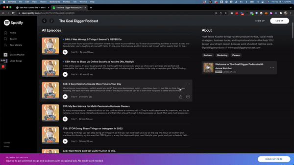 embed spotify player in wordpress post - tonic site shop