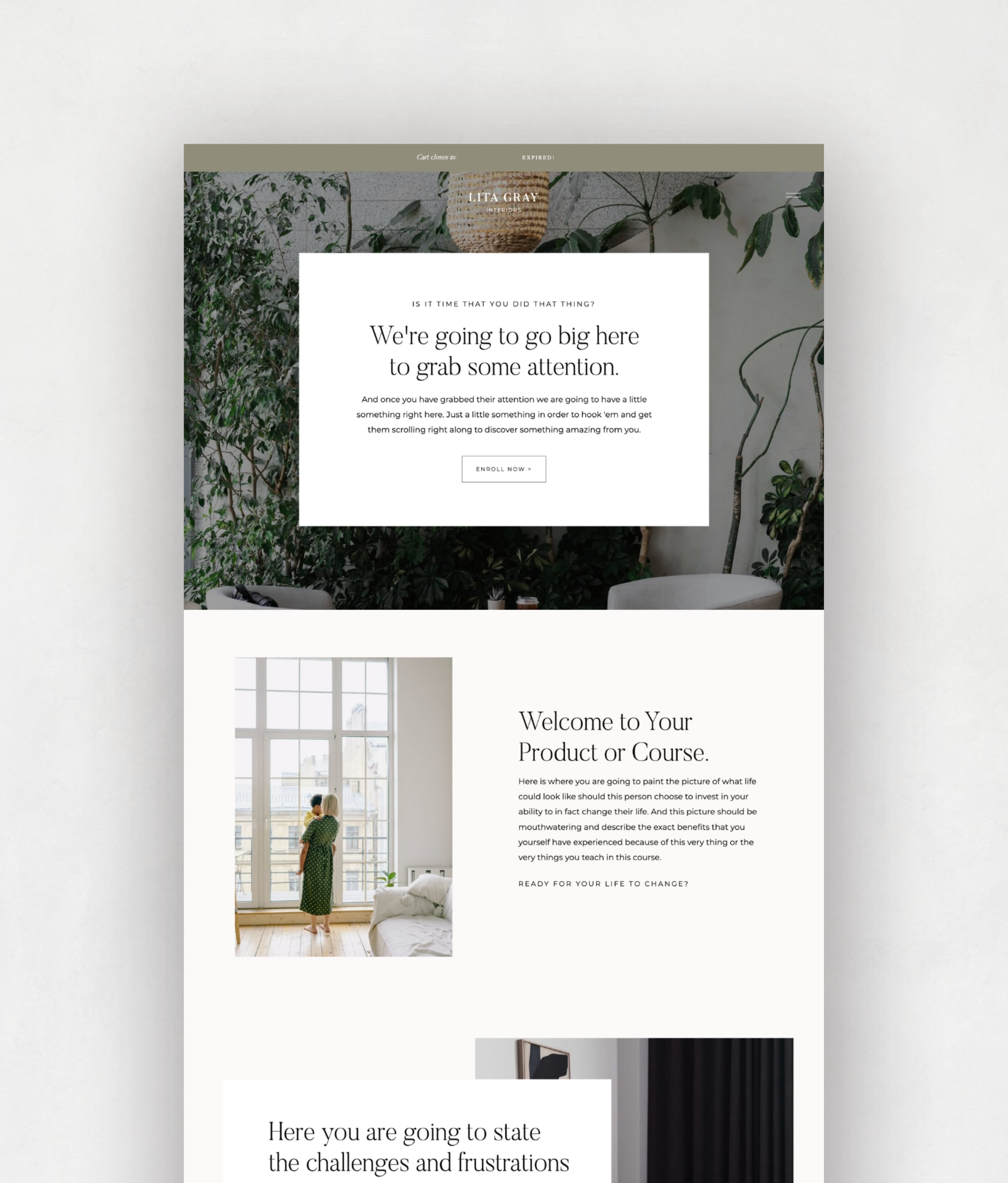 Lita Grey Sales Page