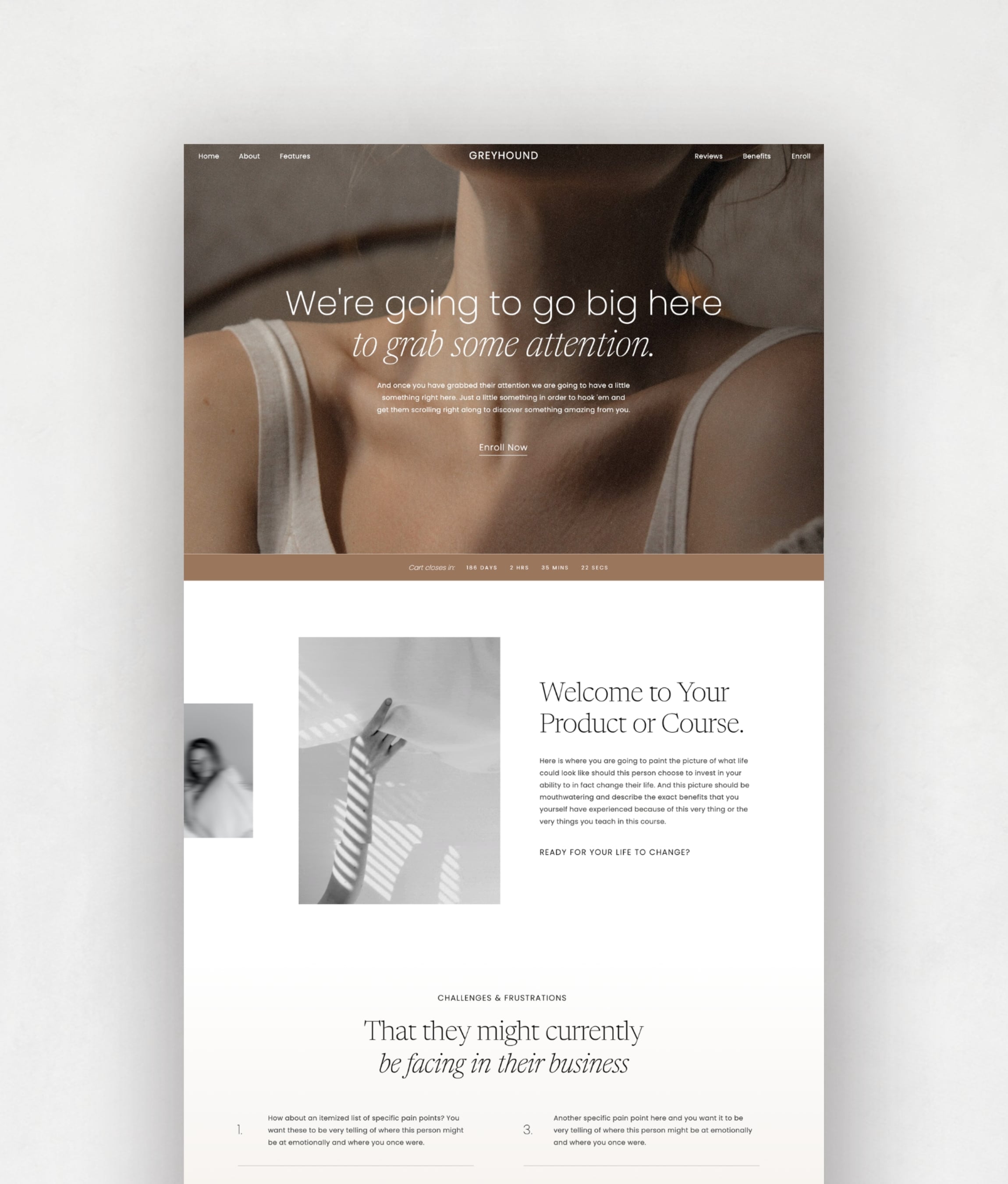 Greyhound Sales Page